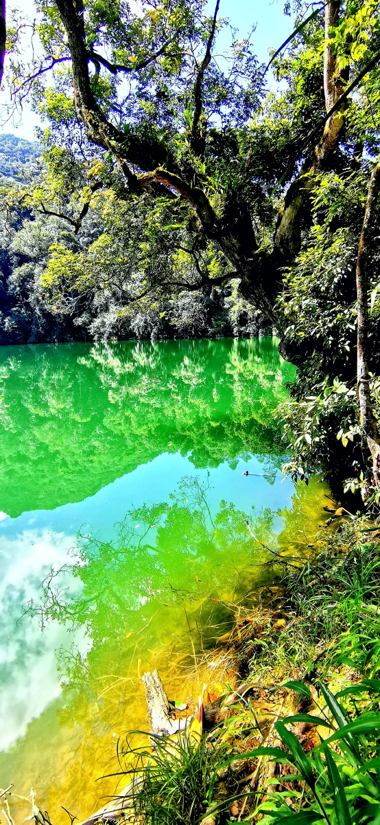 美丽神秘莫测高测的红河蒙自绿翠塘