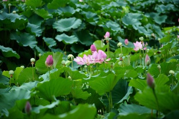 DSC00091.JPG