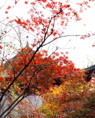 2013 11 11 (4 - 55)