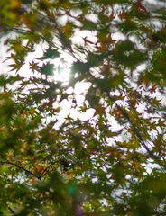 2013 11 11 (17 - 55)