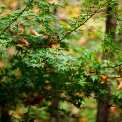 2013 11 11 (19 - 55)