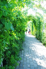 IMGP1547.jpg