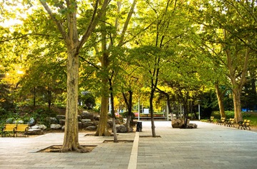 IMGP2065.jpg