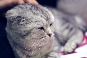 K5__3377.jpg