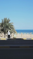DSCF5445.jpg