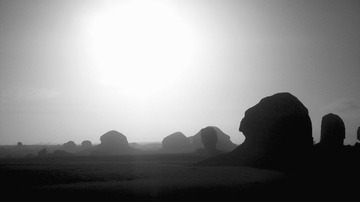 IMG_4156.jpg