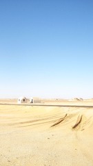 IMG_4180.jpg