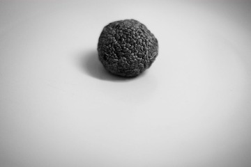 _DSF6841 2.jpg