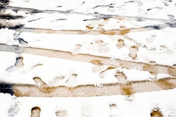 _DSF6961-3.jpg