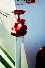 _DSF7159-2.jpg