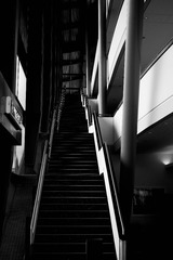 _DSF7484-2.jpg