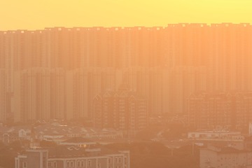 1000024801