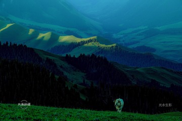 001