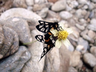 DSC08398_副本副本.jpg