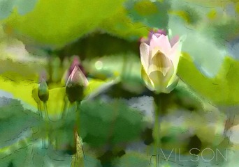 IMG_7743副本.jpg