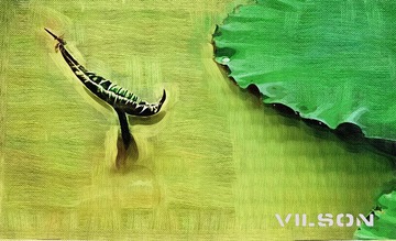 IMG_7750副本_副本.jpg