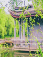 3F644EC6-D410-49D5-B5A0-B2E5D788046F/L0/001
