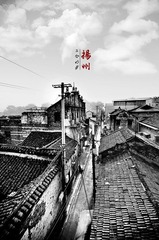 网络10.jpg