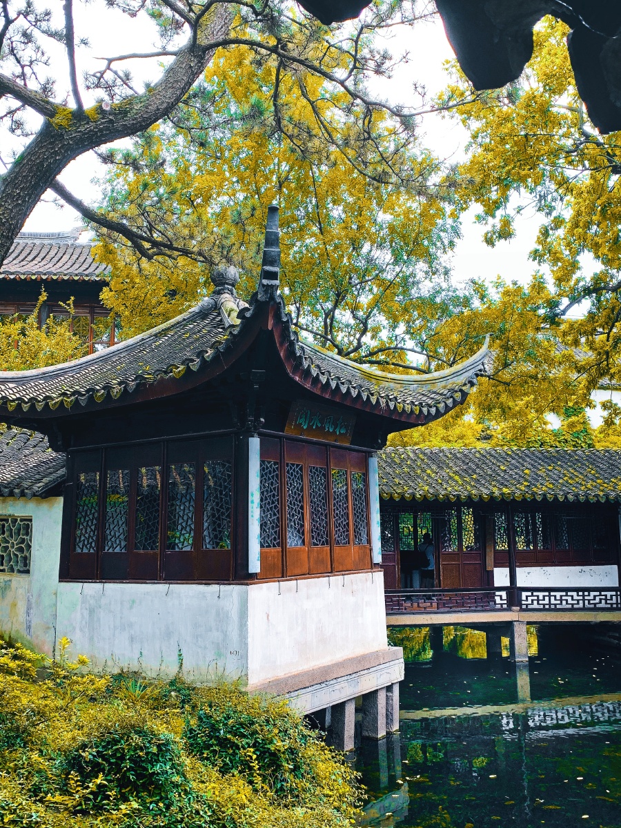 苏州园林拙政园,亭台楼阁,小桥流水,一步一景. - 暮雨晨晨 - 图虫