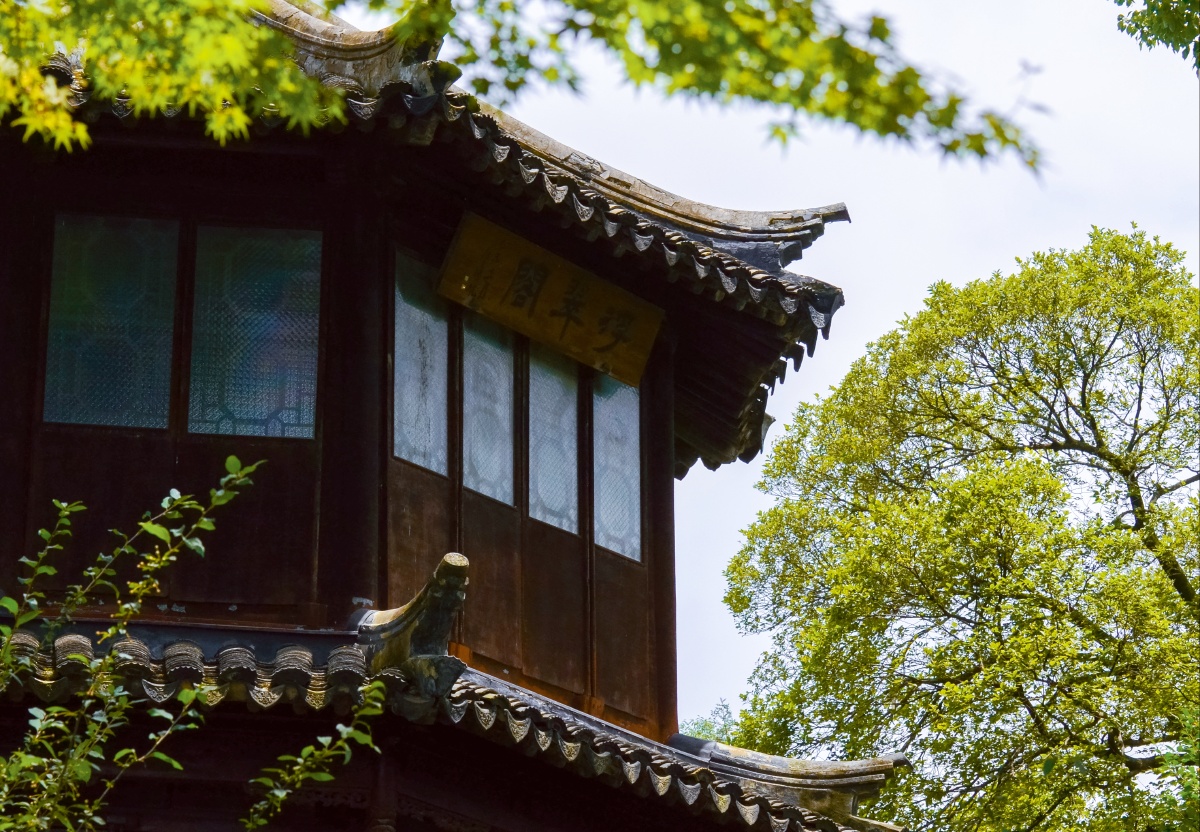 苏州园林拙政园亭台楼阁小桥流水一步一景