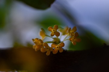 2547328