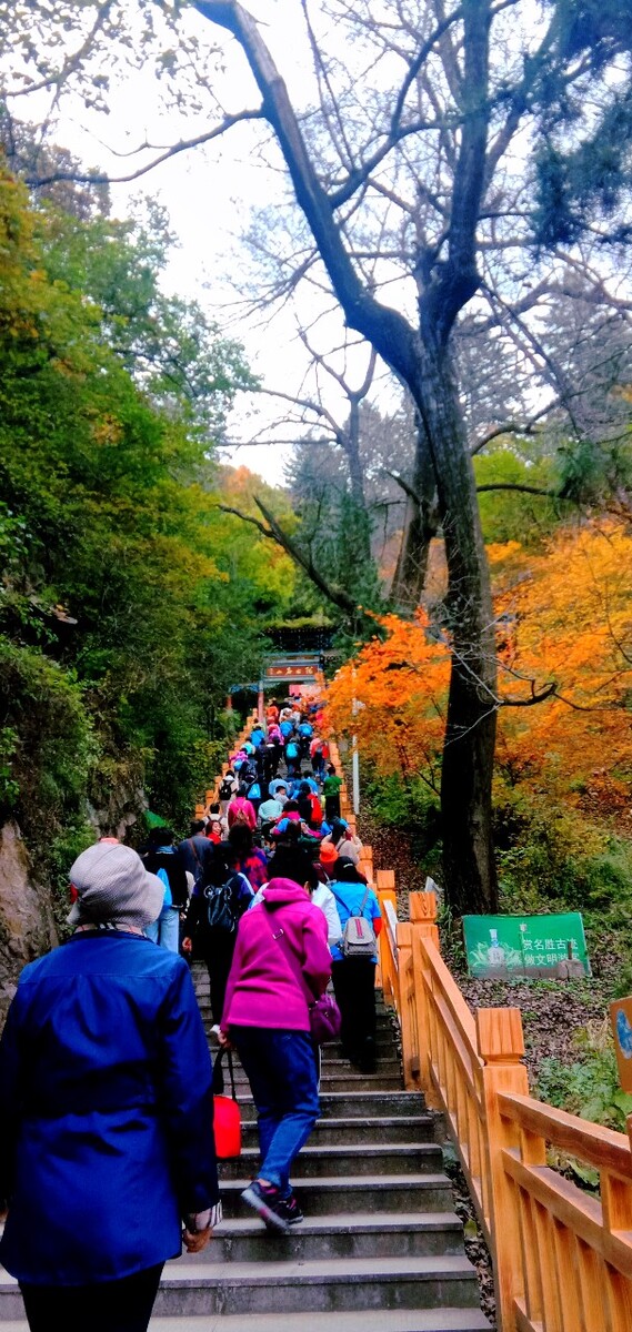 秋天去国内哪里旅游的地方