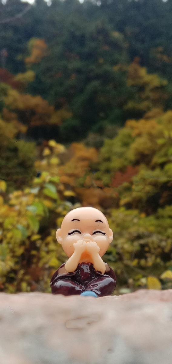飞侠3022021年7月21日934关注小和尚我们这群拍海人趣拍二次元您的