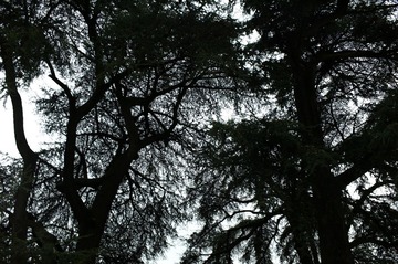 L1001677