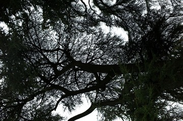 L1001678
