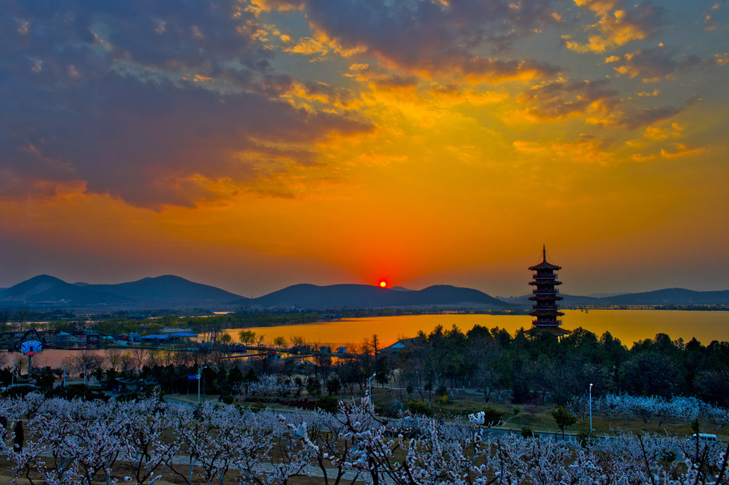 徐州云龙湖夕阳西照美景,前景是十里杏花,中景是苏公塔,远景是夕阳和