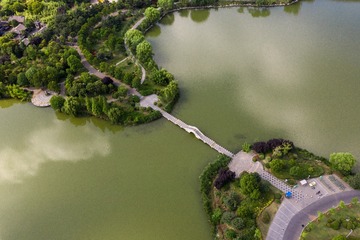 DJI_0165