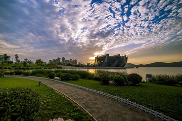 _DSC4397