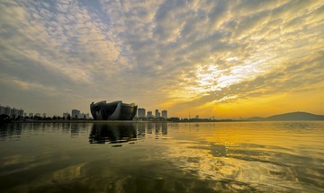 _DSC6421