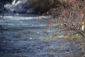 201212九寨沟D4_028副本.jpg