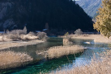201212九寨沟D5_324.jpg