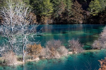 201212九寨沟D5_493.jpg
