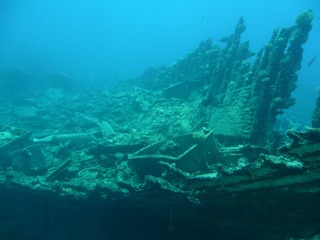 P1000760.JPG