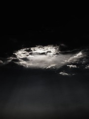 IMG_4006.jpg