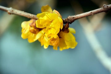 CZW05870 1