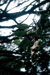 L1100758