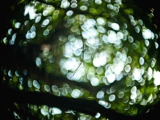 PB180753-2_