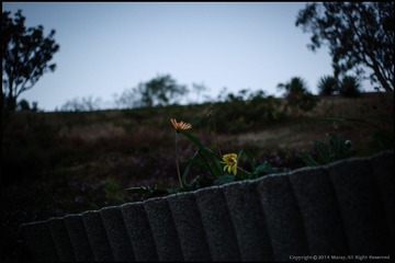EPSN0452