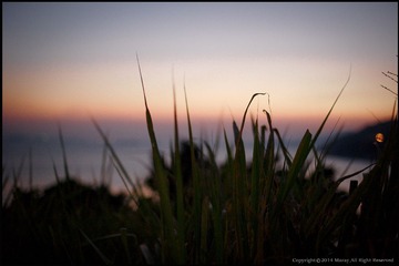 EPSN0496