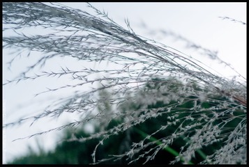 L1100756