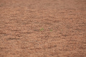 20130517-BJ-MASERATI-LDW0454.JPG