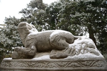 DSC_0034.JPG