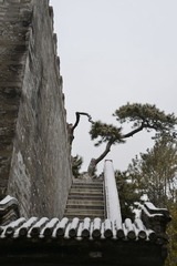 DSC_0035.JPG