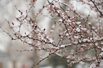 DSC_0039.JPG