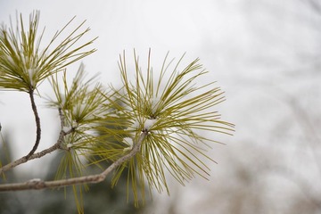DSC_0043.JPG