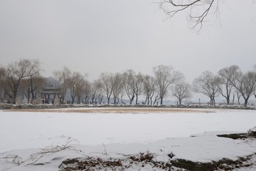 DSC_0045.JPG